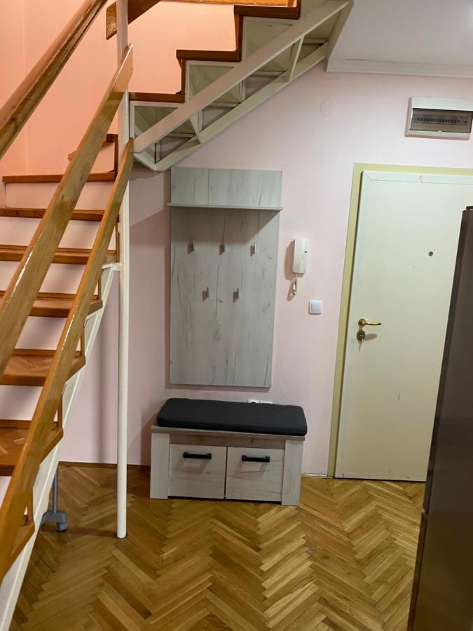 Apartment Cactus 021 Νόβι Σαντ Εξωτερικό φωτογραφία