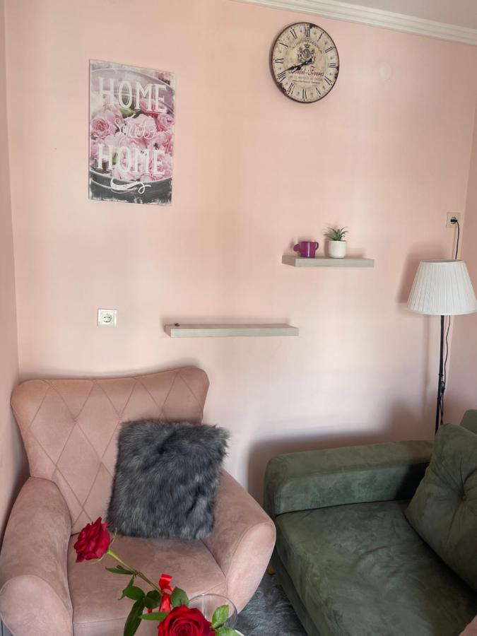 Apartment Cactus 021 Νόβι Σαντ Εξωτερικό φωτογραφία
