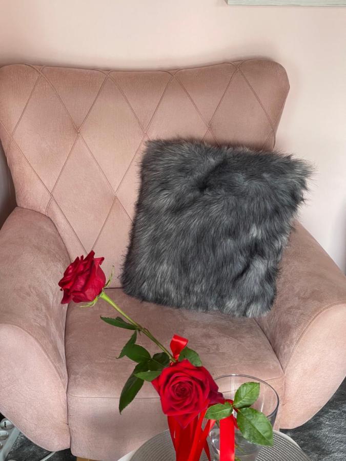 Apartment Cactus 021 Νόβι Σαντ Εξωτερικό φωτογραφία